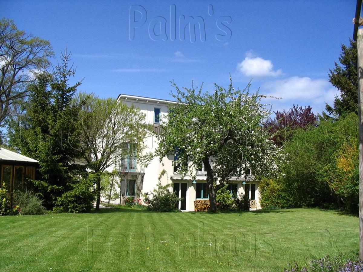 Palms Ferienhaus Klutz Buitenkant foto